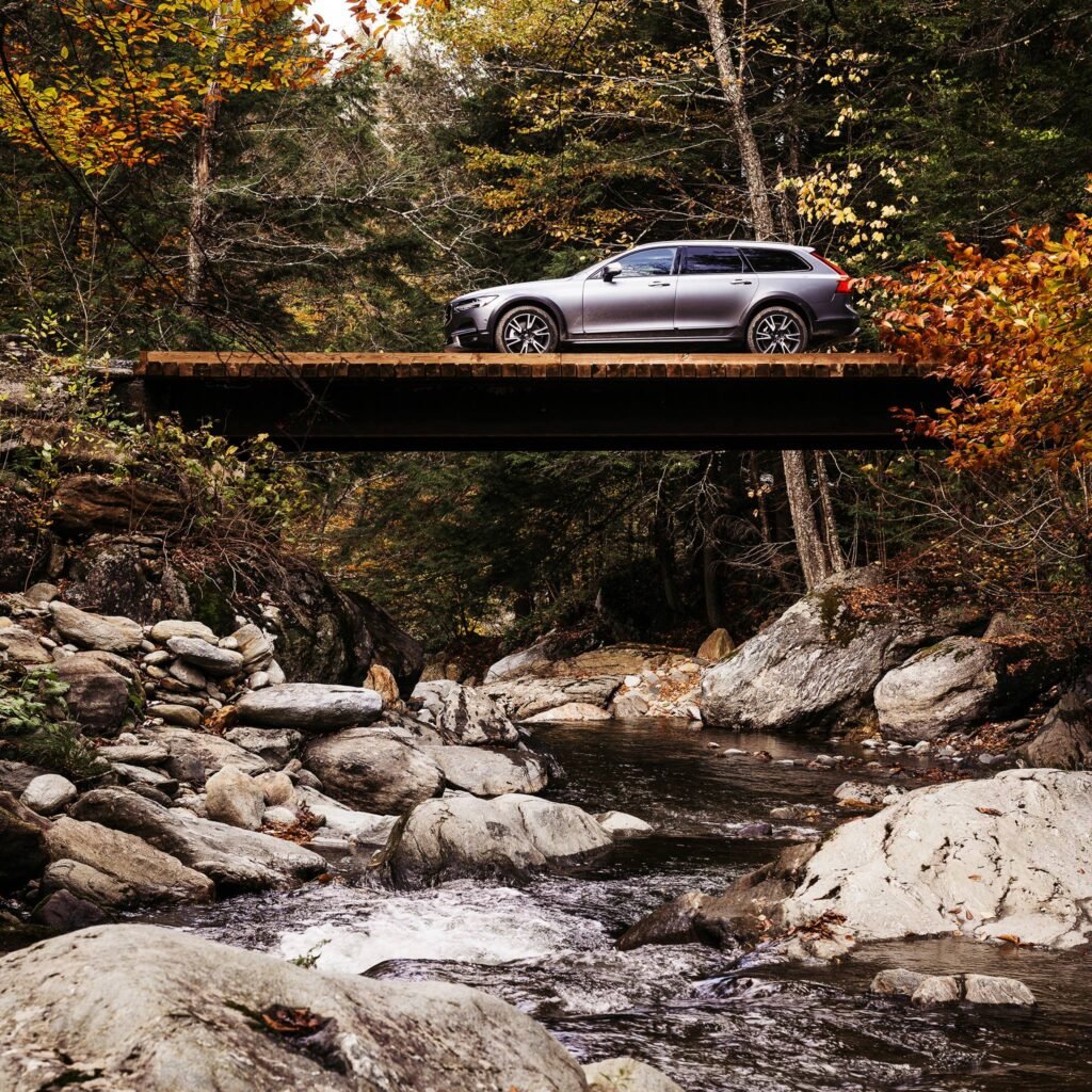 46276195 10155921587567083 6927076400637673472 n